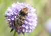 48334 – Photo : Eric SYLVESTRE – Andorre