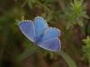 48943 – Photo : Michel Ehrhardt – France (68)