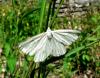 48289 – Photo : deedee – France (00)