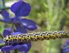 48427 – Photo : Gilles Roux – France (75)
