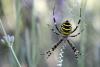 48837 – Photo : Cyril ARNODO – France (13)