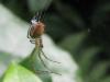 48626 – Photo : Druet Nicole – Belgique