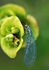 48567 – Photo : patrick derennes – France (91)