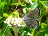 48319 – Photo : Yvain Dubois – France (73)