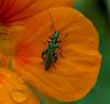 48193 – Photo : Didier Aurelle – France (83)