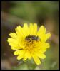48133 – Photo : Gandrey Clementine – France (34)
