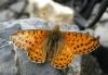49029 – Photo : Antoine Guibentif – France (74)