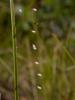 49670 – Photo : Pascal FICHOT – France (05)