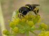 49424 – Photo : Gilles Roux – France (13)