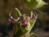 49189 – Photo : Pascal FICHOT – France (20)