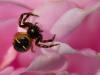 49638 – Photo : Denys Liger – France (27)