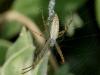 49478 – Photo : Bernard BOHER – France (09)