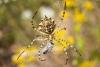 49337 – Photo : Karim KACI – France (13)