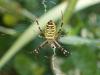 49485 – Photo : Bernard BOHER – France (09)
