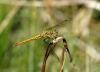 49678 – Photo : pierr07 – France (07)