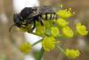49471 – Photo : Gilles Roux – France (13)