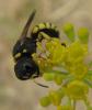 49470 – Photo : Gilles Roux – France (13)