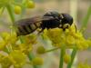 49469 – Photo : Gilles Roux – France (13)