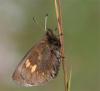 49938 – Photo : Pelouard – France (74)