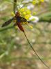 49363 – Photo : Gilles Roux – France (13)