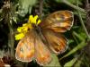 49880 – Photo : Pelouard – France (11)