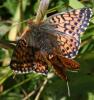 49948 – Photo : Pelouard – France (74)