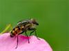 49735 – Photo : Denys Liger – France (27)