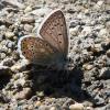 49476 – Photo : Yvain Dubois – France (73)