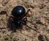 49646 – Photo : Sylvain Fadda – France (83)