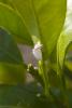 5355 – Photo : JACQUIN Keran – France (04)