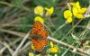 5012 – Photo : Hugues Mouret – France (69)