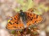 5008 – Photo : Hugues Mouret – France (12)