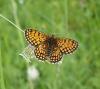 5130 – Photo : Arnaud Jean-Pierre – France (09)