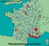 5678 – Photo : Anonyme – NR