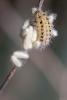 50322 – Photo : Sebastien JEAN – France (91)