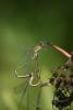 50074 – Photo : Olivier Lacaton – France (51)
