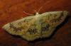 50839 – Photo : Axel Dehalleux – France (89)