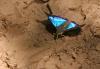 50599 – Photo : patrick derennes – Argentine