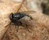 50925 – Photo : Axel Dehalleux – France (89)