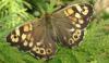 50119 – Photo : Axel Dehalleux – France (93)