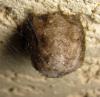51020 – Photo : Anne Forgues – France (11)