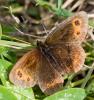 51110 – Photo : Pierre Duhem – France (74)