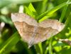 51221 – Photo : Pierre Duhem – France (74)