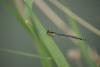 51887 – Photo : Olivier Lacaton – France (02)