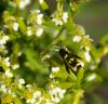 51798 – Photo : Pescalune – France (13)