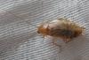 51531 – Photo : Axel Dehalleux – France (93)