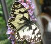 51581 – Photo : Axel Dehalleux – France (93)