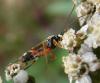 51240 – Photo : Phil – France (40)