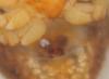 51070 – Photo : roy – France (24)
