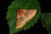 51656 – Photo : Samuel DUCEPT – France (86)